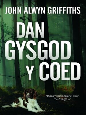cover image of Dan Gysgod y Coed